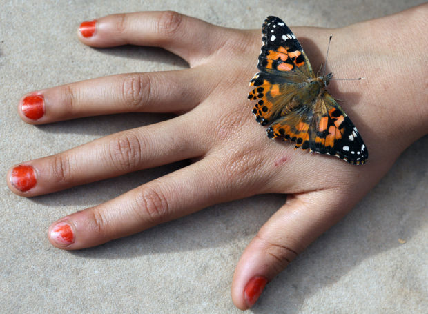 Natural attraction